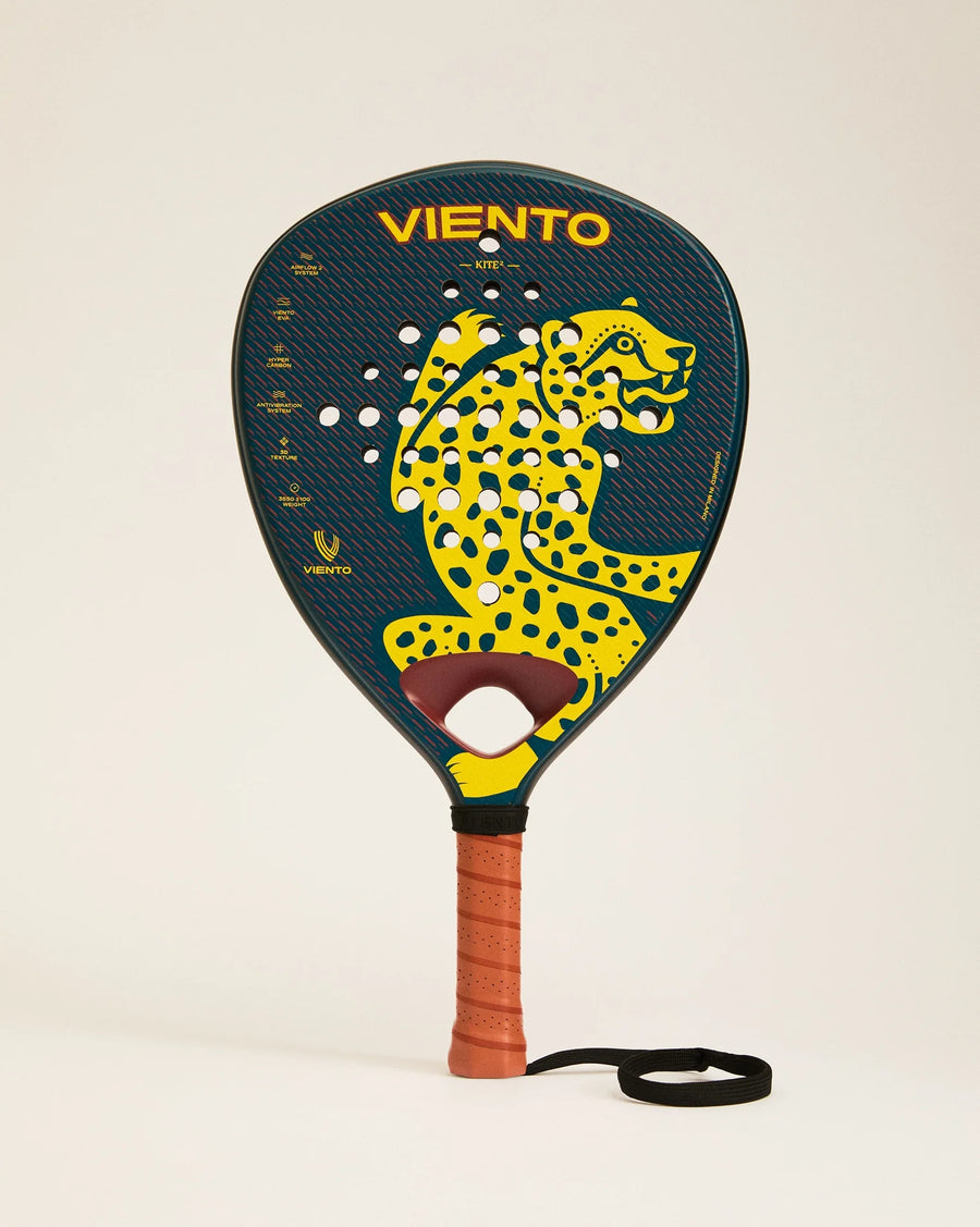 Viento Kite2
