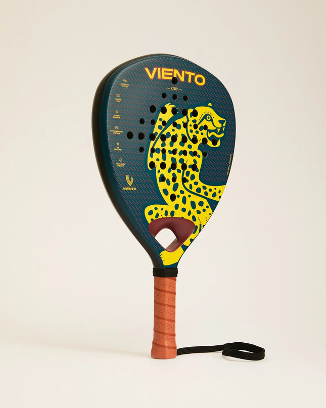 Viento Kite2